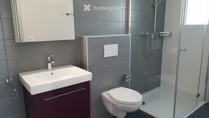 Appartement 2.5 pièce à louer (4)