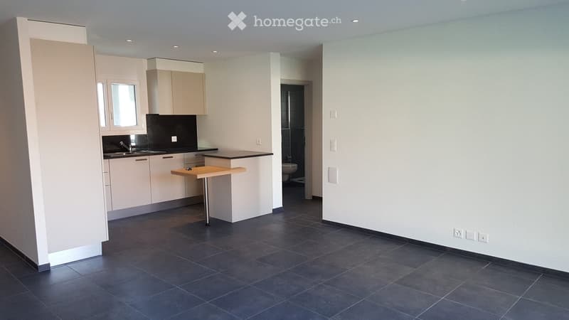 Appartement 2.5 pièce à louer (1)