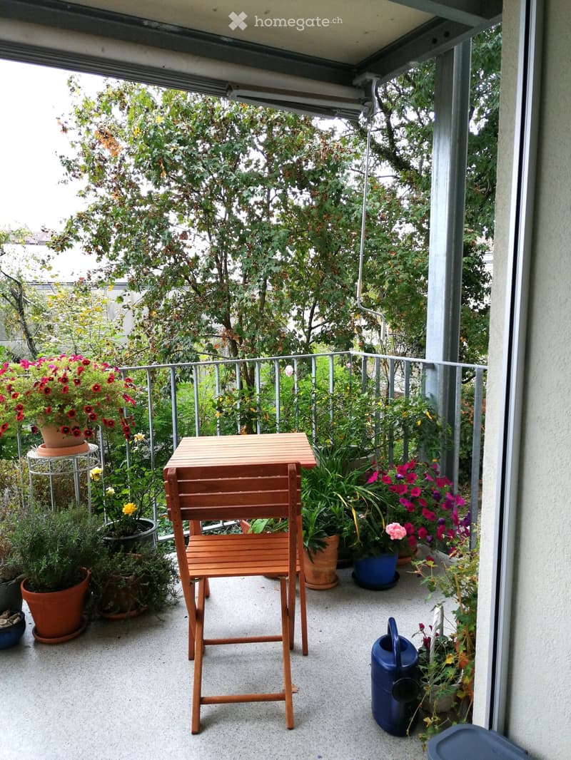 2 pces avec balcon pour le 15 novembre ou le 1er décembre (6)