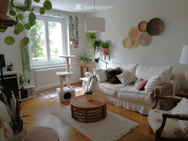 2 pces avec balcon pour le 15 novembre ou le 1er décembre (1)