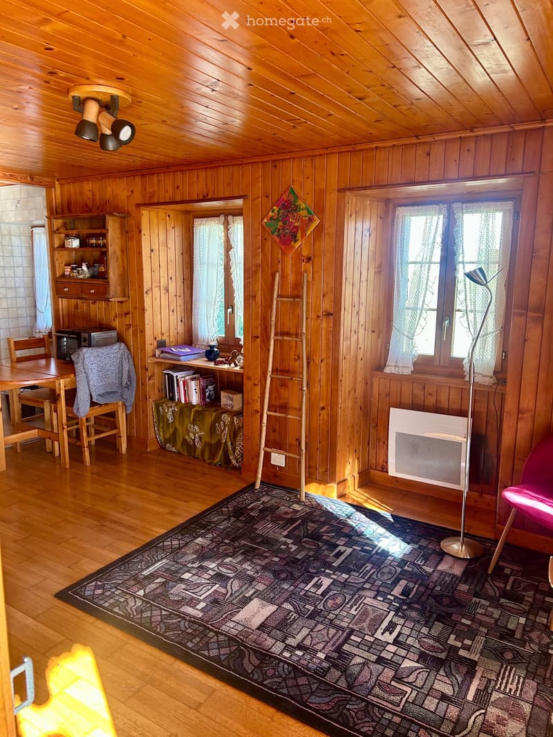 Studio style chalet à St-Martin (3)