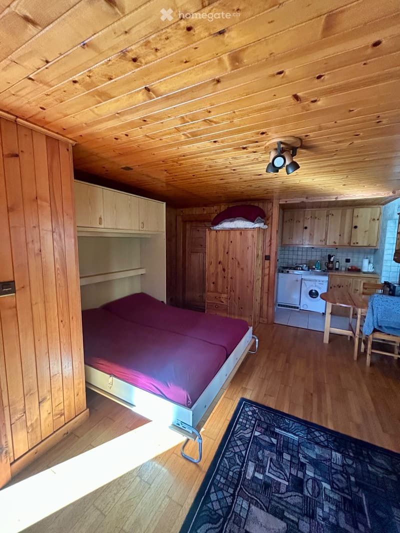 Studio style chalet à St-Martin (2)