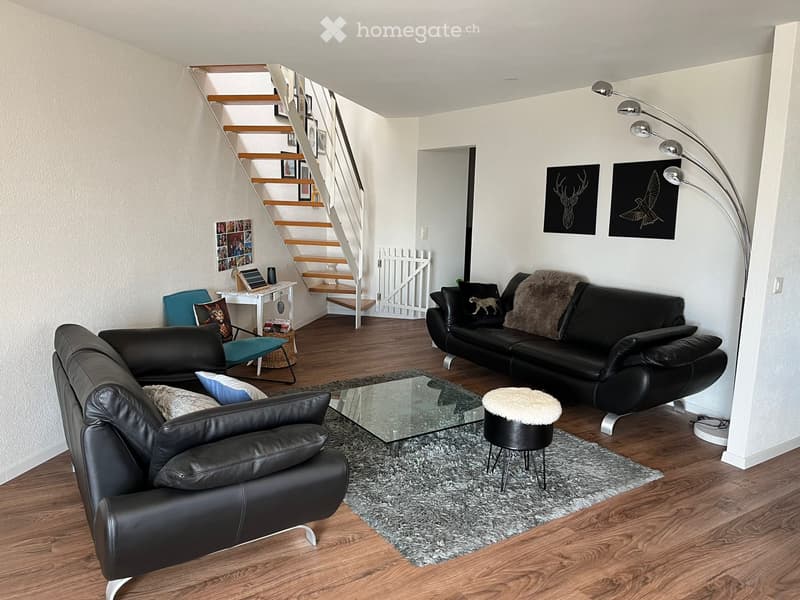 Magnifique 4.5 pièces en duplex (3)