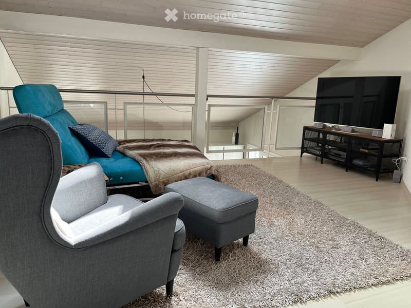 Magnifique 4.5 pièces en duplex (5)