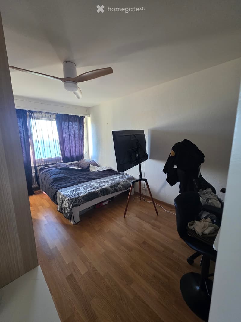 Appartement vue sur le lac (4)