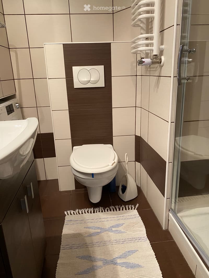 Appartement attique 3,5 à Monthey avec parking et charges (4)