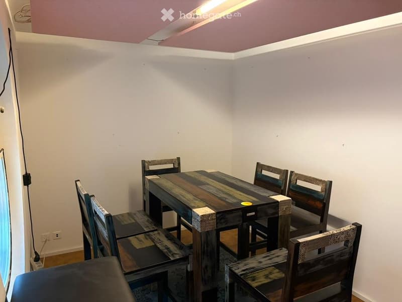 Wunderschöne Wohnung im Herzen von Zürich (3)