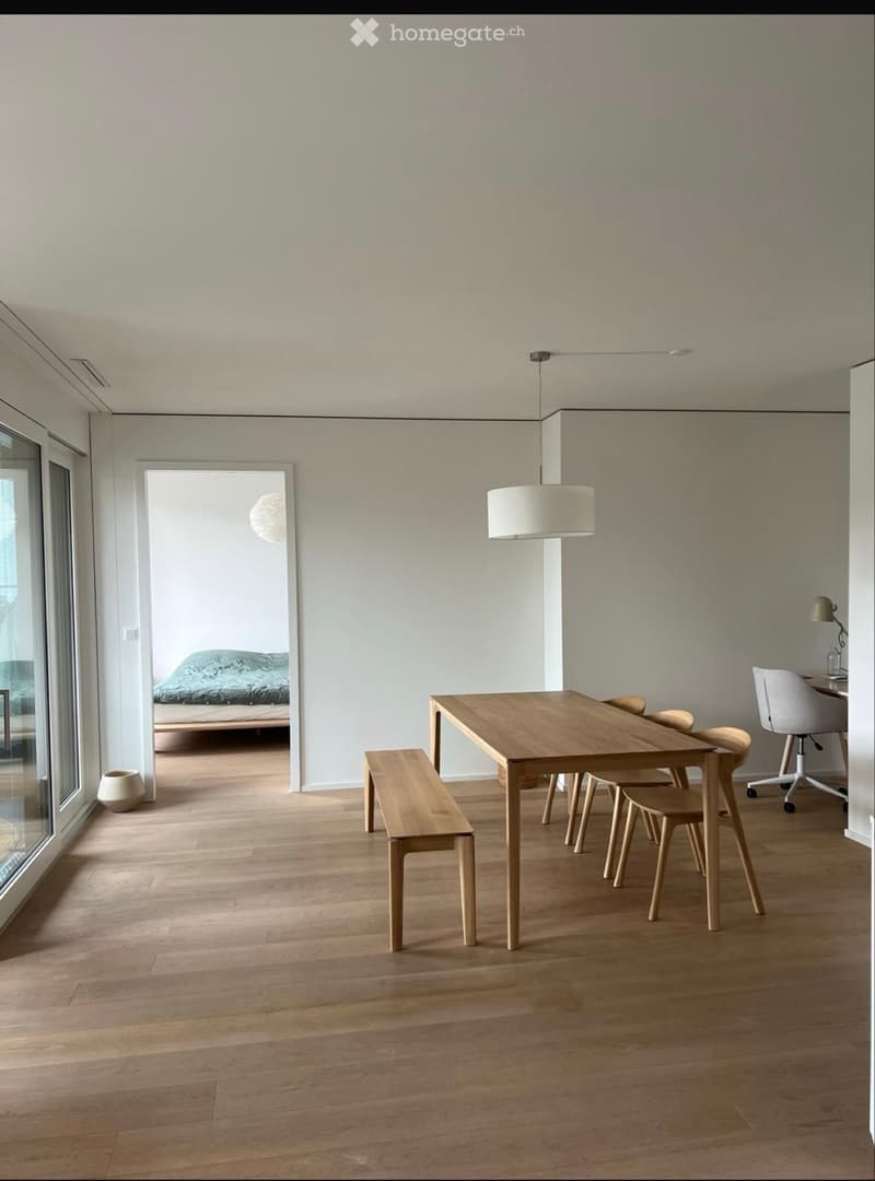 Hardbrücke Flat 2.5 (2)