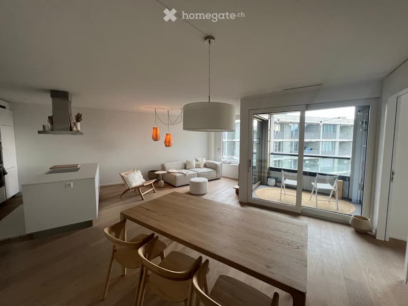 Hardbrücke Flat 2.5 (3)