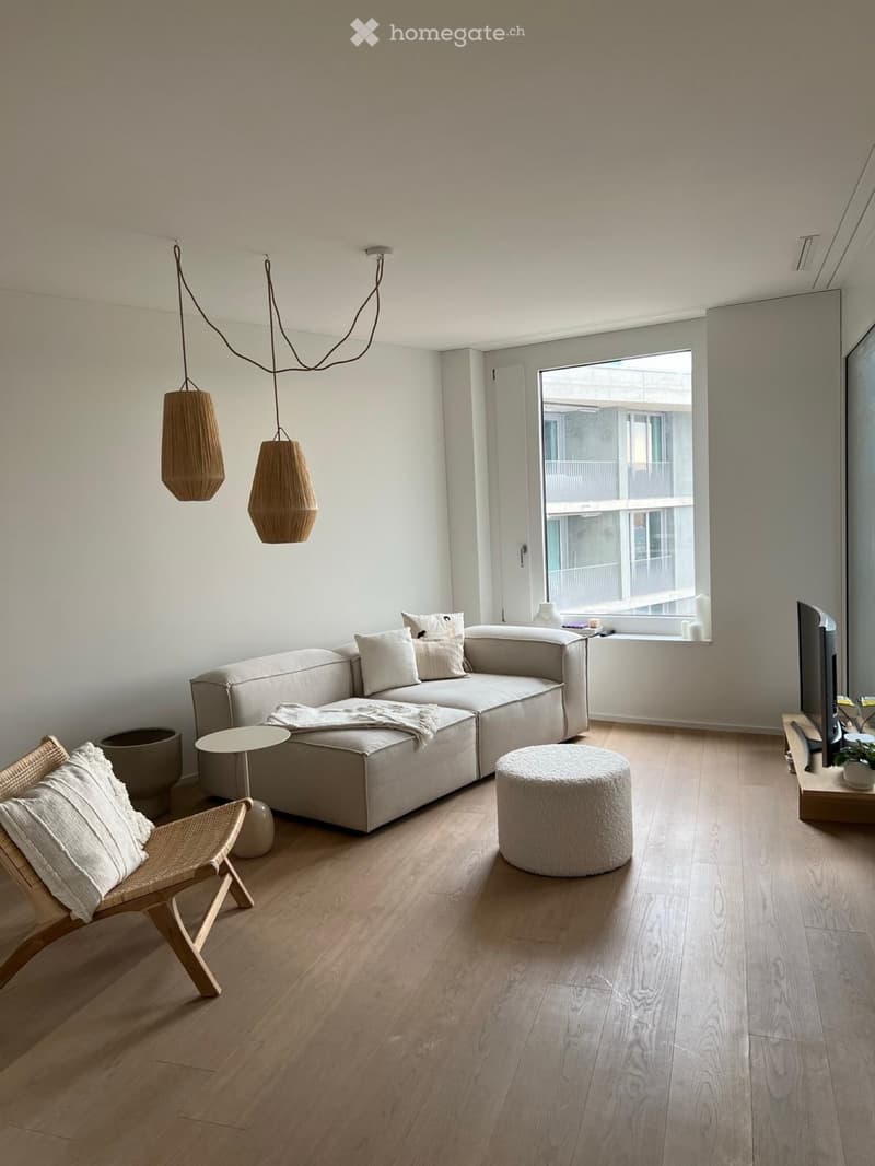 Hardbrücke Flat 2.5 (4)