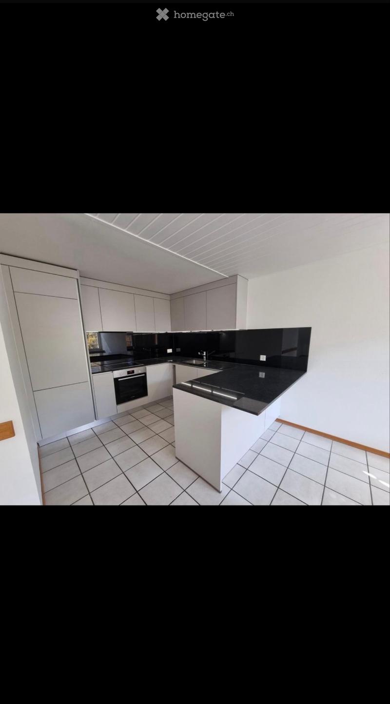Bel appartement 4 pièces Libération pour le 01.01.2027 (1)