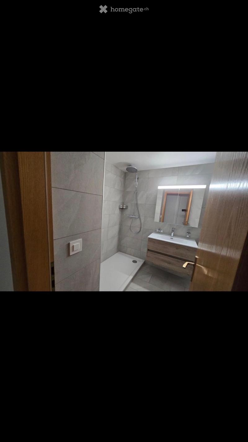 Bel appartement 4 pièces Libération pour le 01.01.2027 (5)