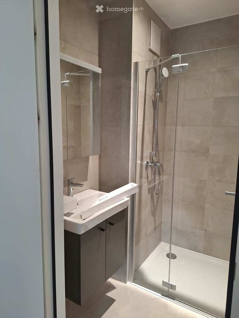 Très bel appartement 2.5 p neuf au cur de Montreux (4)