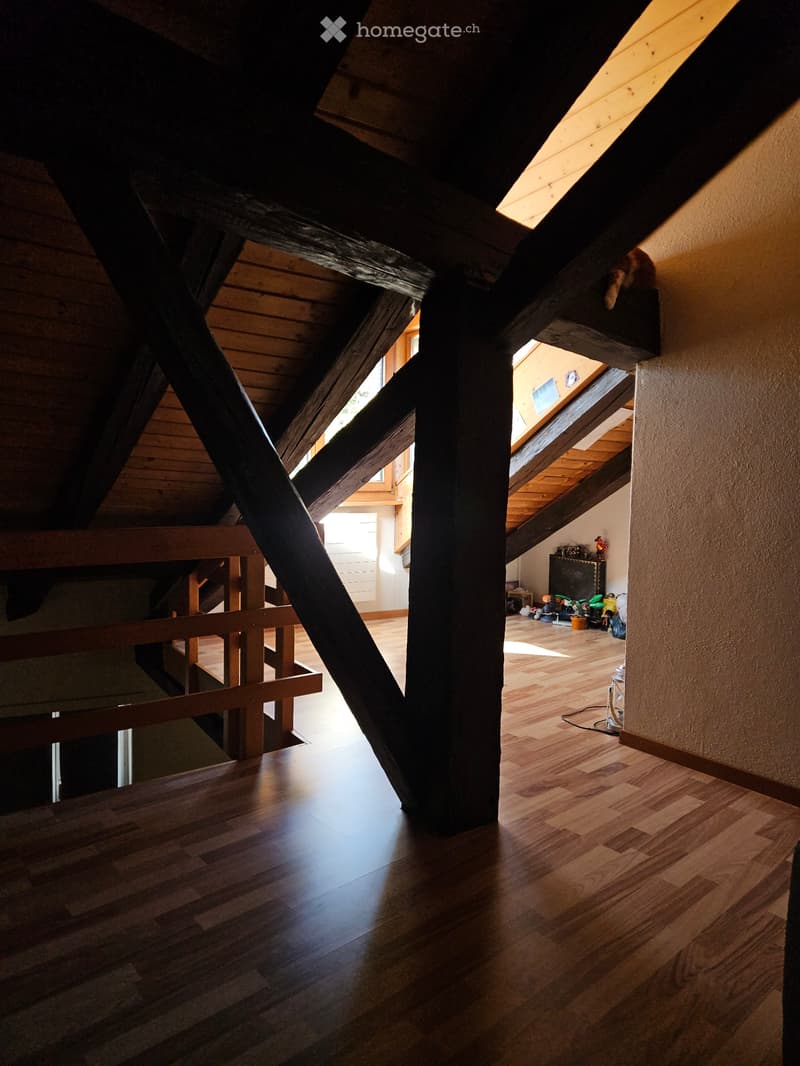 Appartement en Duplex 1er décembre (1)