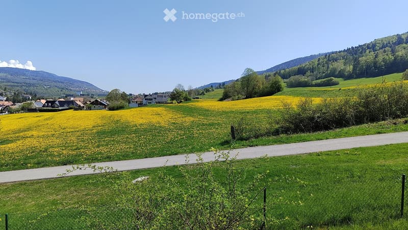 Coloc queer friendly à Vallorbe - 100m² et calme (1)