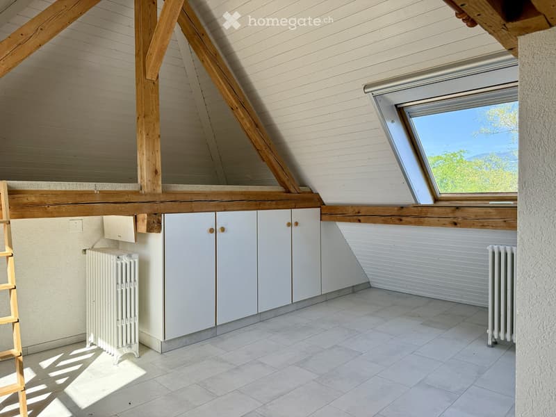 Appartement sous les toits avec un grand jardin commun (1)