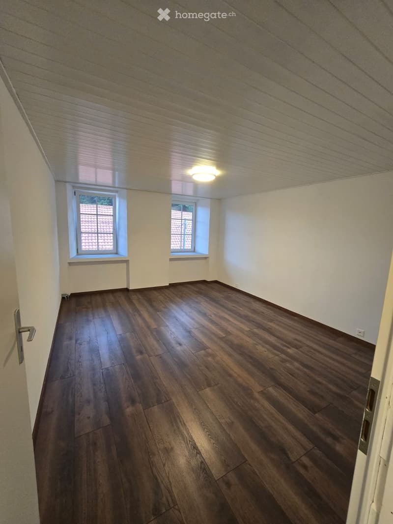 Appartement rénove 2.5 pc (3)