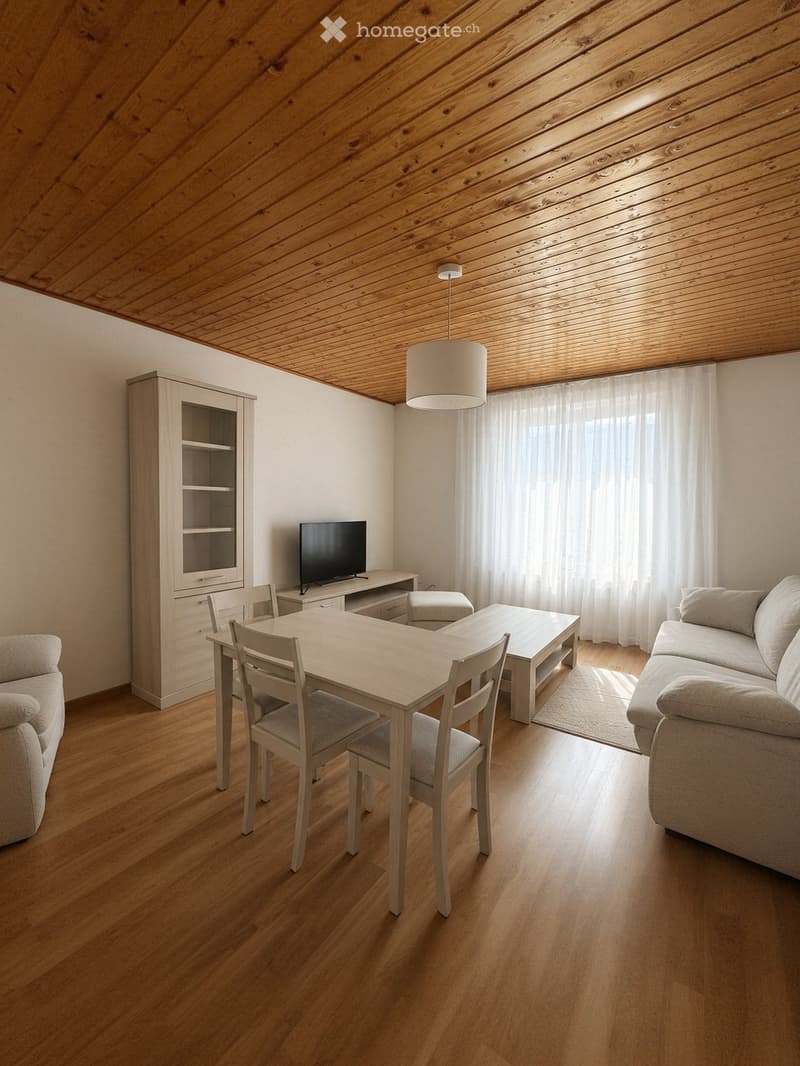 Bel appartement lumineux et chaleureux de 3 pièces (2)