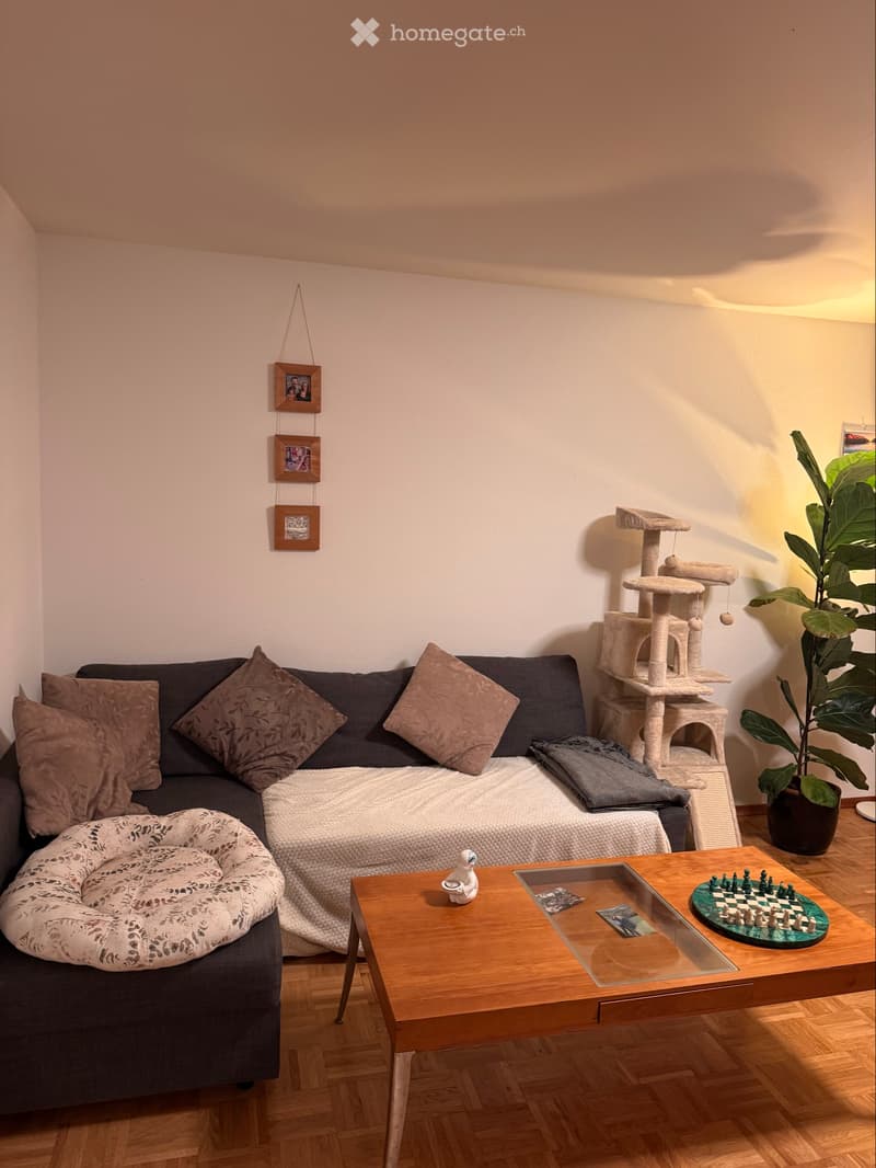 Chambre en colocation (4)