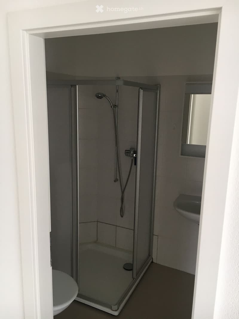 Appartement 2.5 pièces (4)