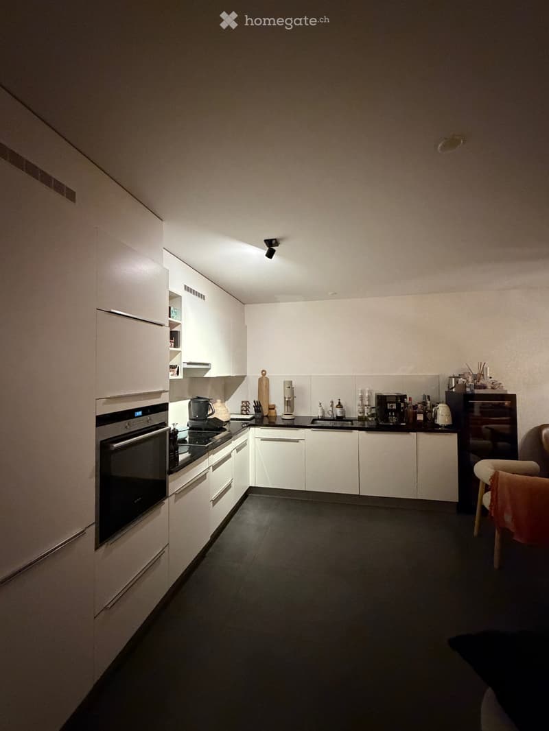 À LOUER appartement avec jardin privatif et vue sur le lac (4)