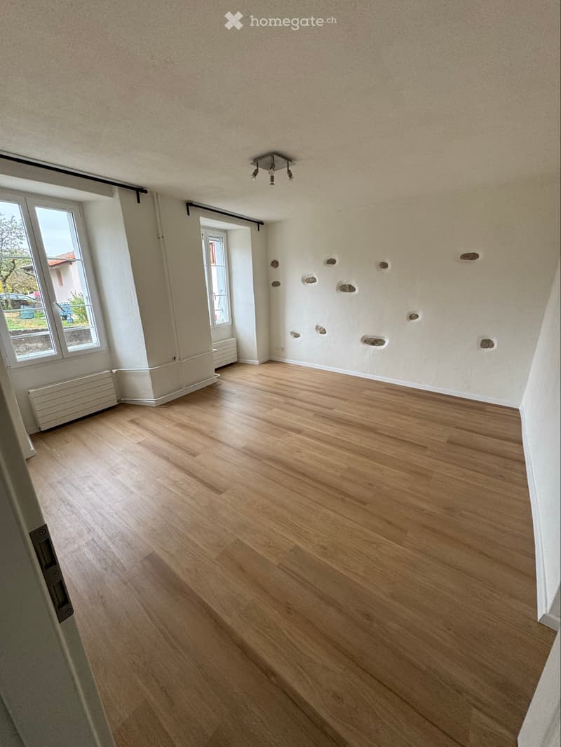 Appartement 1 pièce à louer à 15min de morges (2)