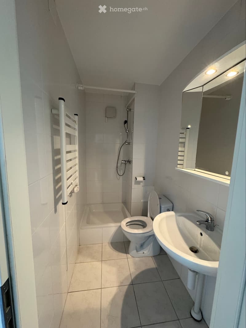 Appartement 1 pièce à louer à 15min de morges (4)
