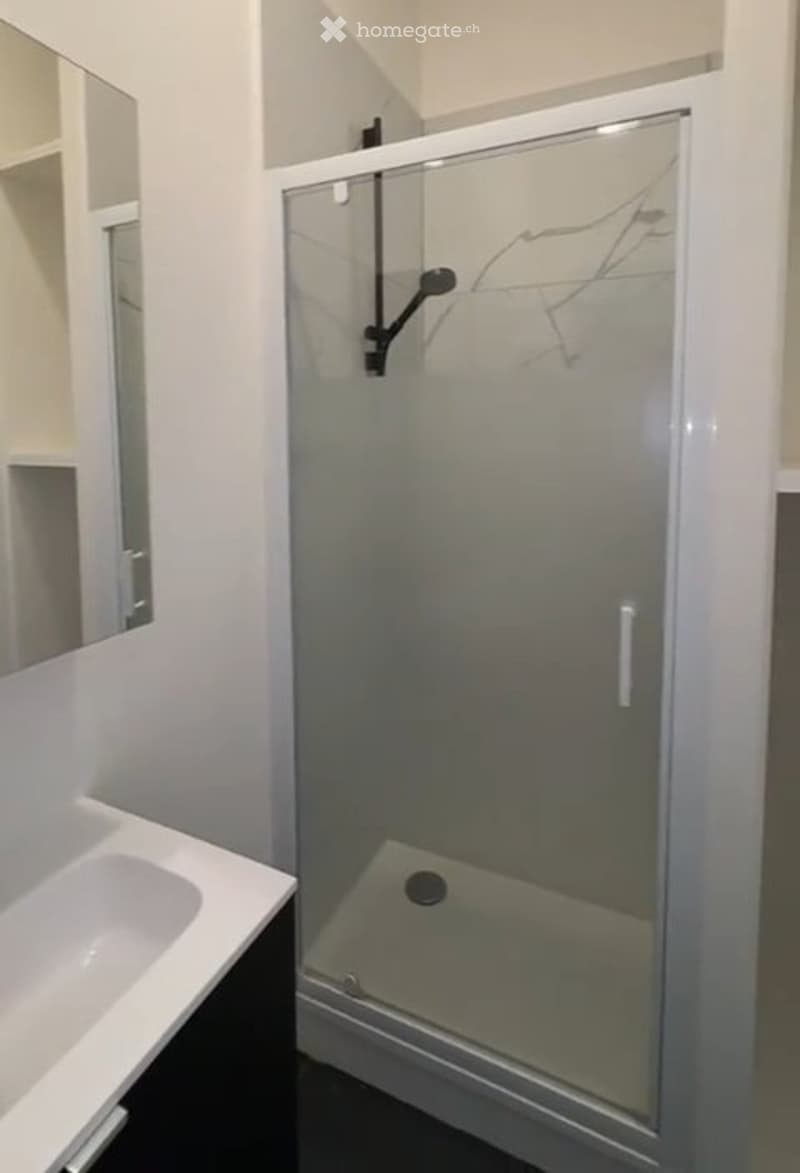 Appartement moderne meublé à louer à Zurich 8055 (3)