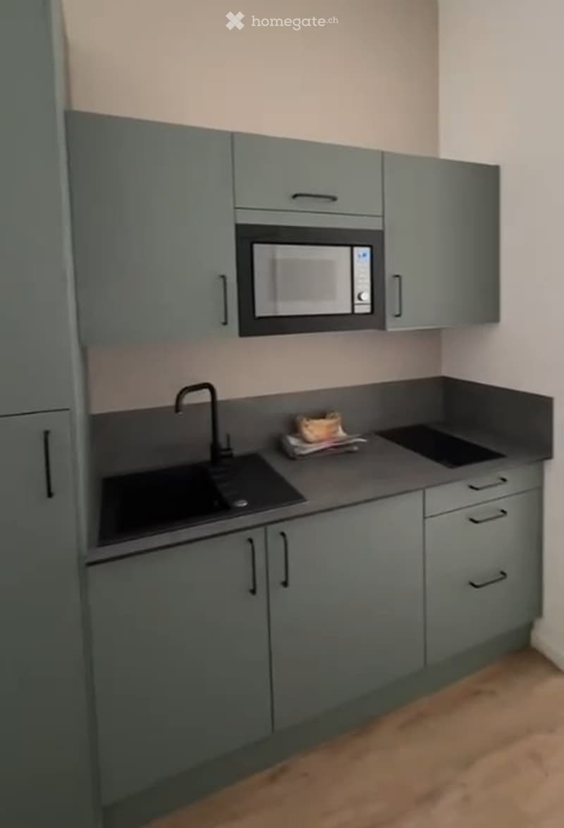 Appartement moderne meublé à louer à Zurich 8055 (2)