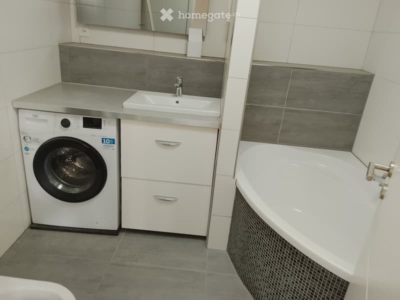 Grosszügige 5.5-Zimmer-Wohnung mit über 150 m² Terrasse (1)