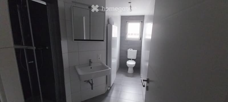 Grosszügige 5.5-Zimmer-Wohnung mit über 150 m² Terrasse (5)