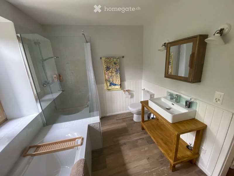 Magnifique grange rénovée pour amoureux de la nature (5)