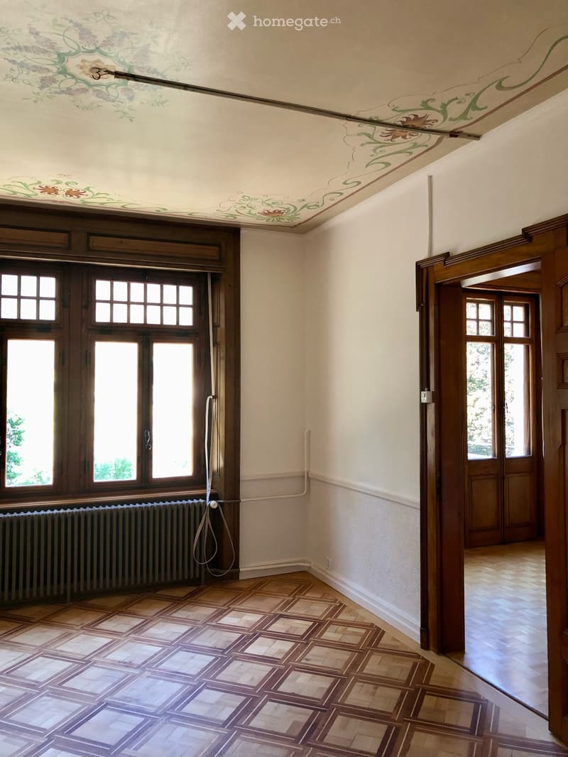 Appartement dans une maison de Maître, cadre exceptionnel (7)
