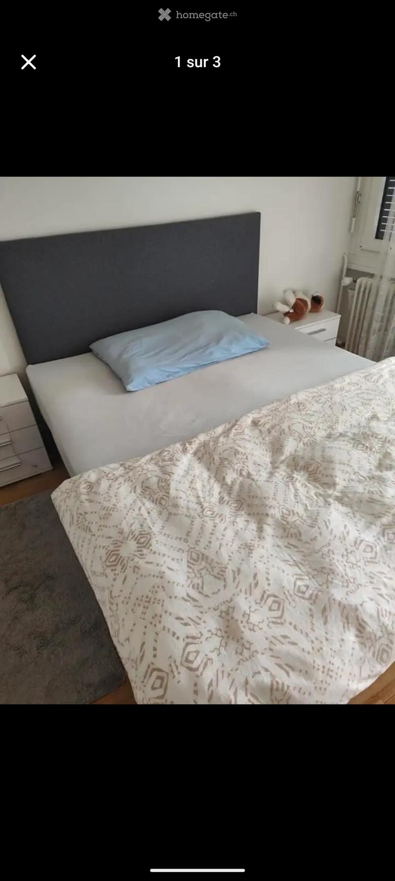 Chambre a louer Onex (3)