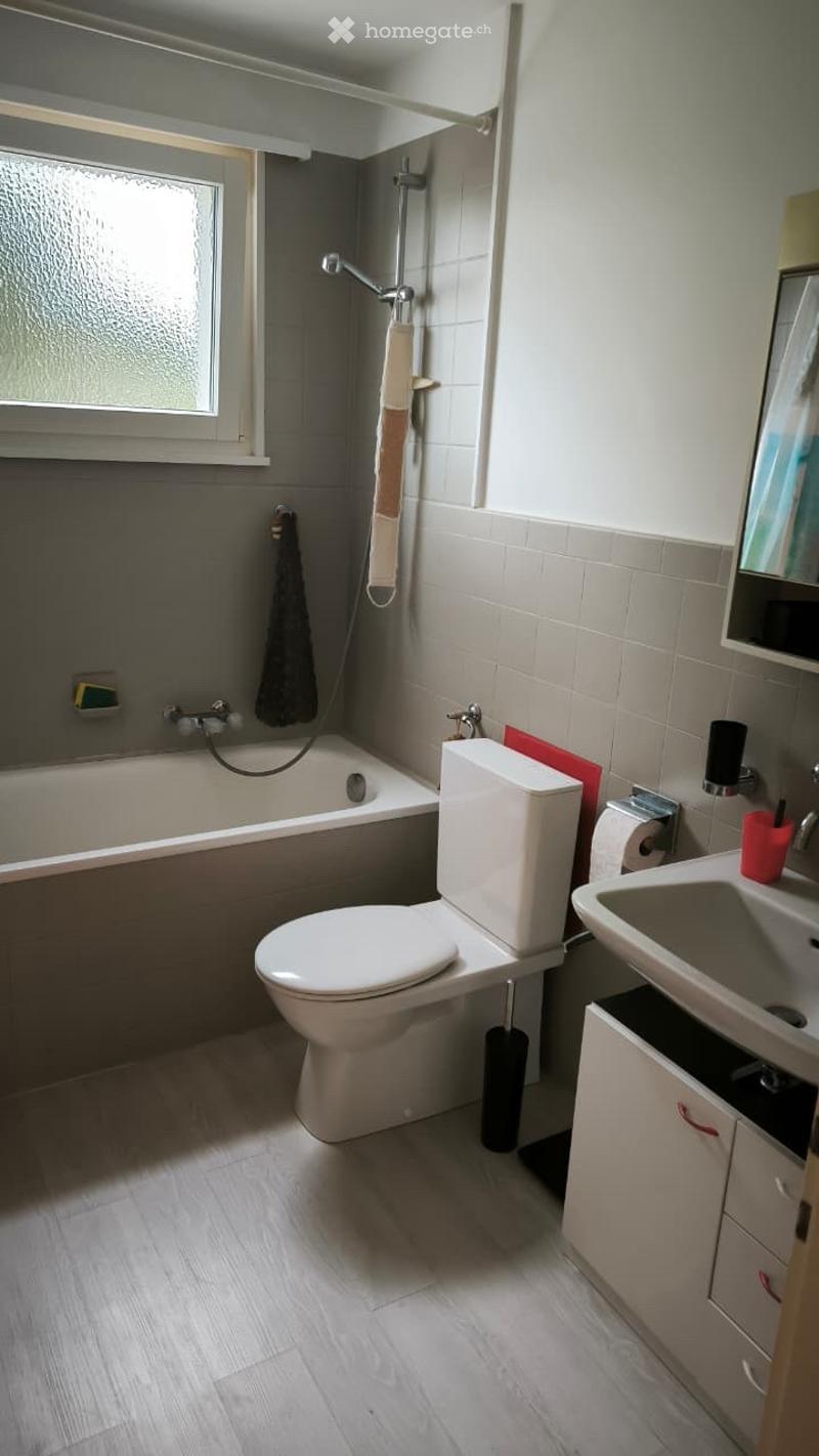 Appartement 3,5 pces dans petit locatif (5)
