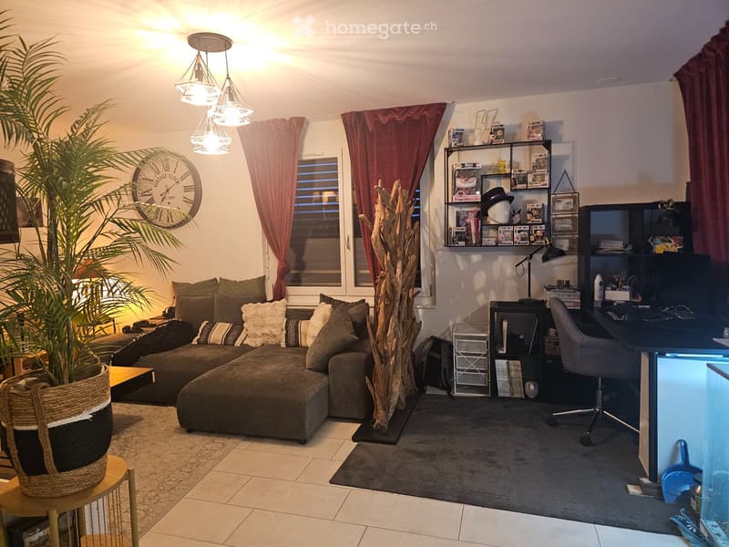 Reprise de bail - Appartement Ecublens FR (3)