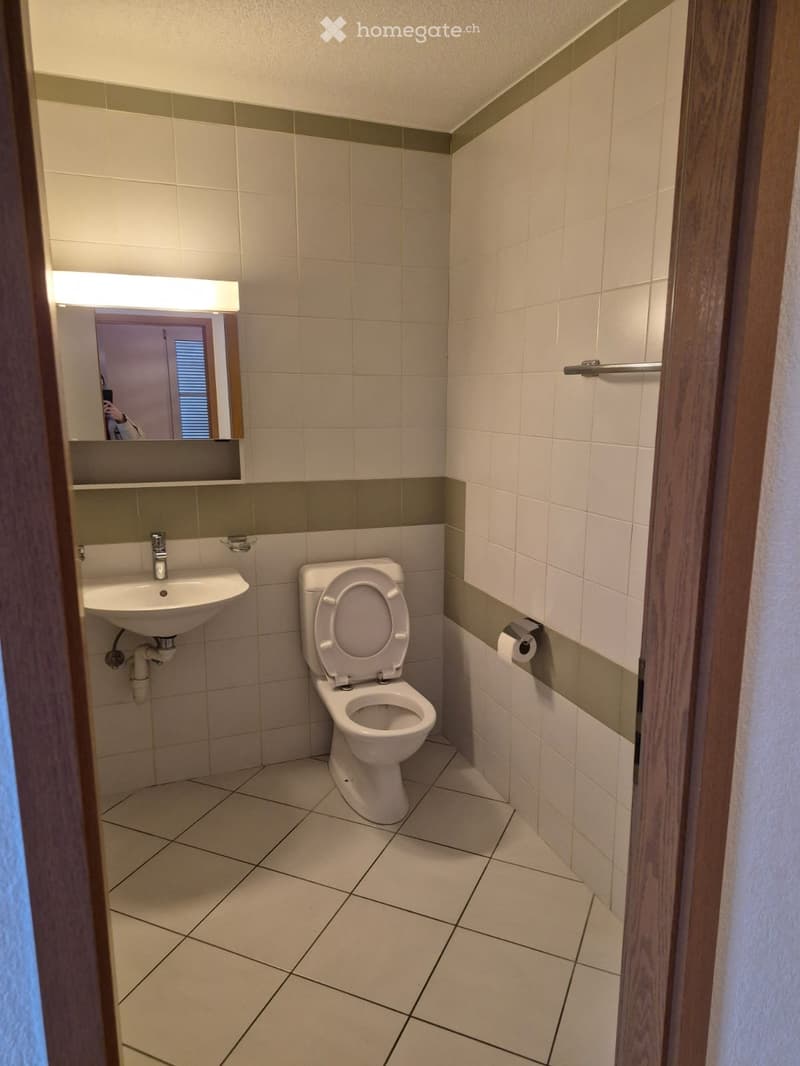 Appartement 2 pièces Les Hauts-Geneveys (3)