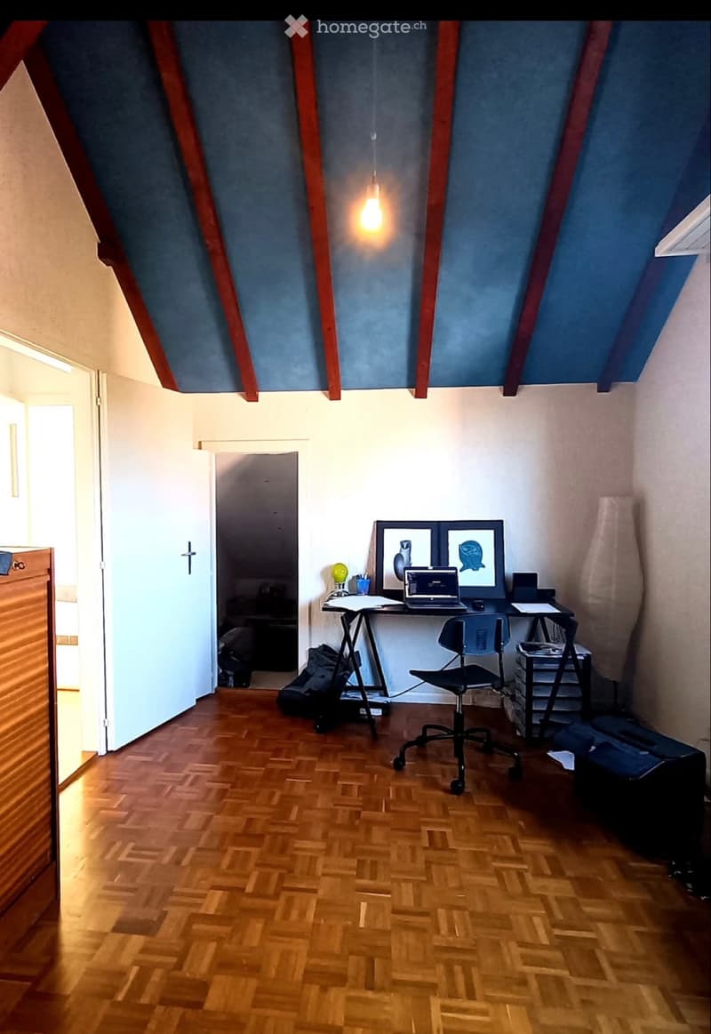 Appartement 2.5 pièces + 1 local en sous-sol (2)