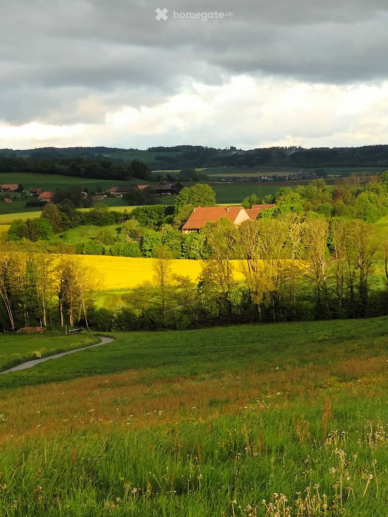 Chambre dans un îlot de verdure (1)