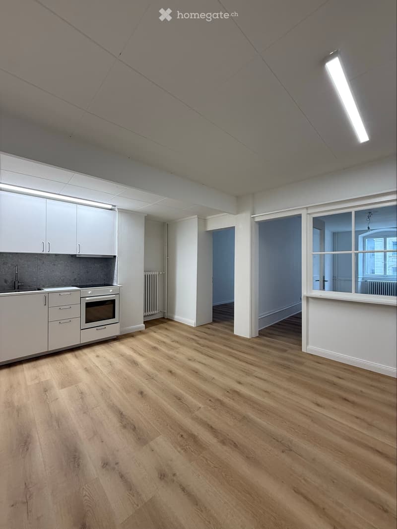 Appartement 2.5 pièces // 2.5 Zimmer-Wohnung (1)