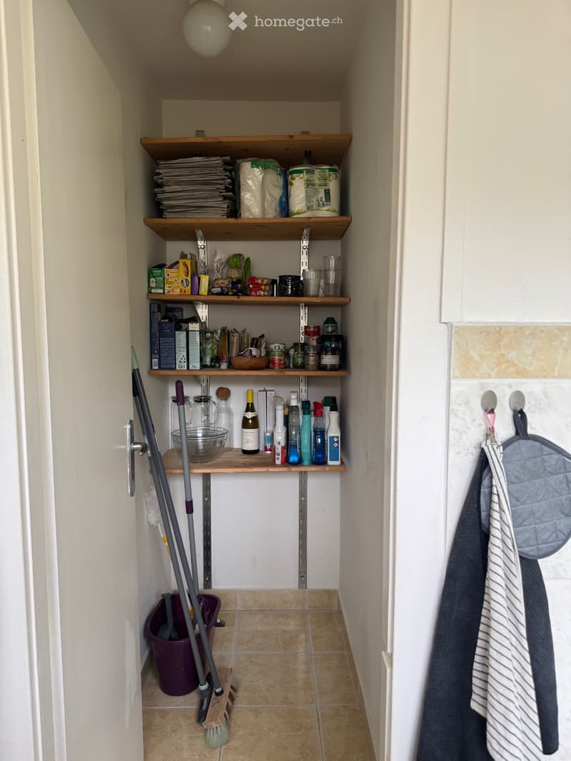 APPARTEMENT À LOUER LUTRY (5)