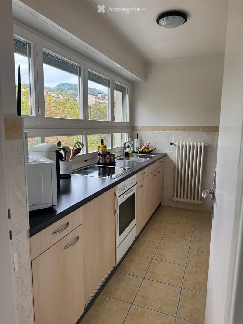 APPARTEMENT À LOUER LUTRY (3)