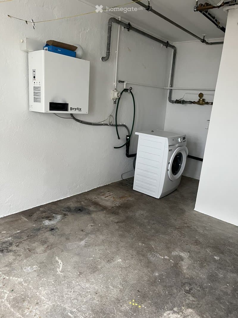 Viel Platz zum fairen Preis 3.5-Zi. mit 2 Dachzi. Sitzplatz (4)