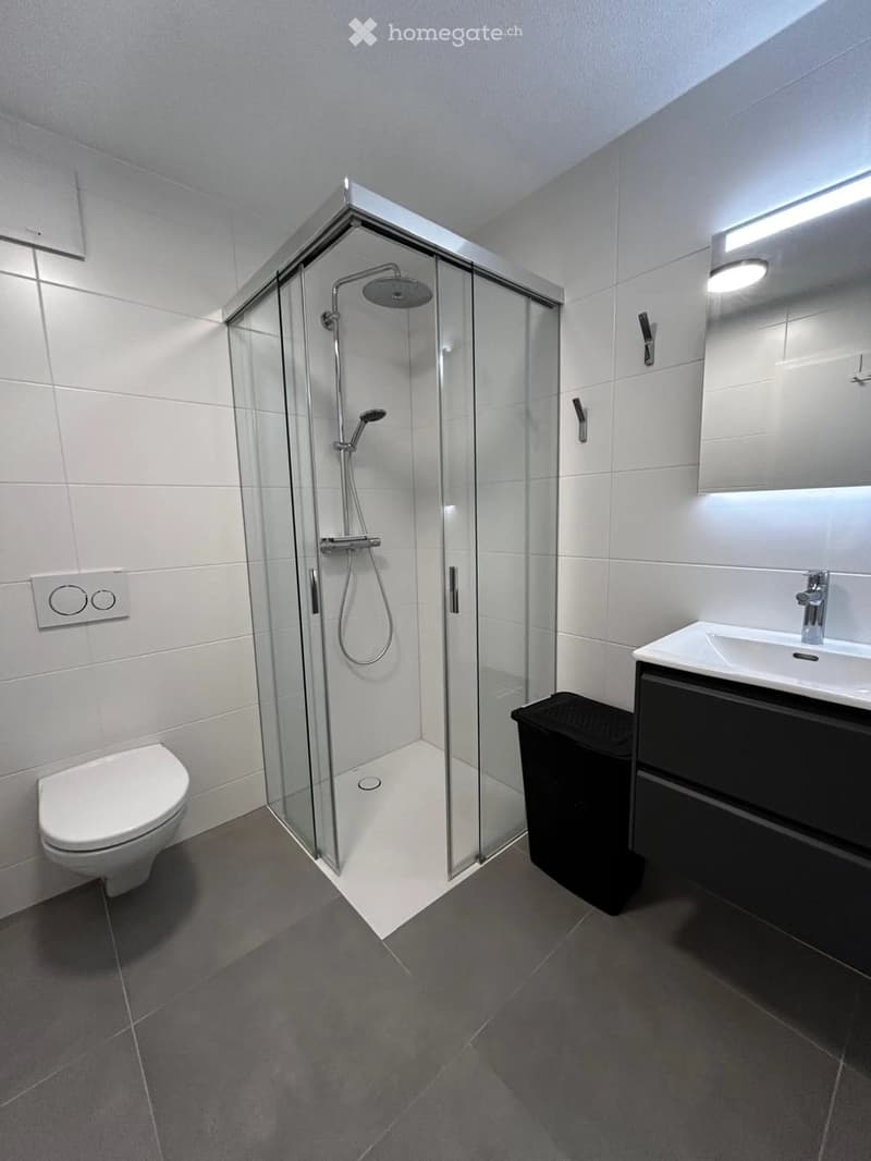 Appartement 3.5pc avec 2 places de parc (4)