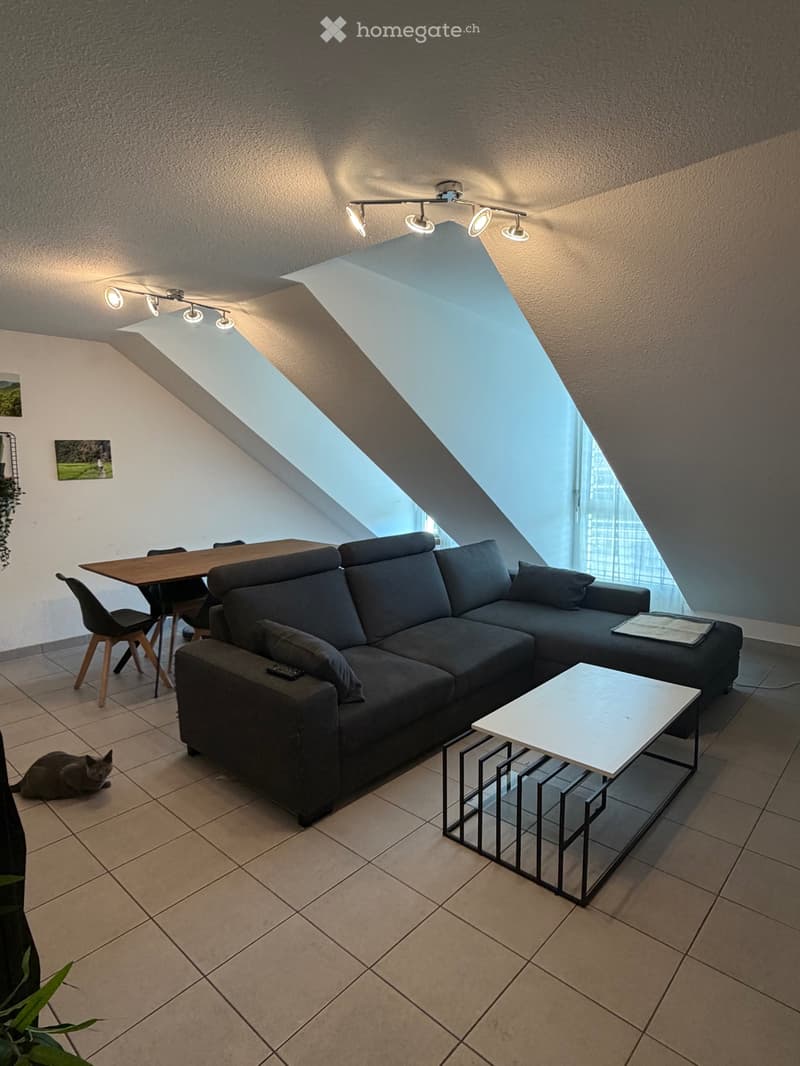 Appartement mansardé de 3,5 pièces (1)