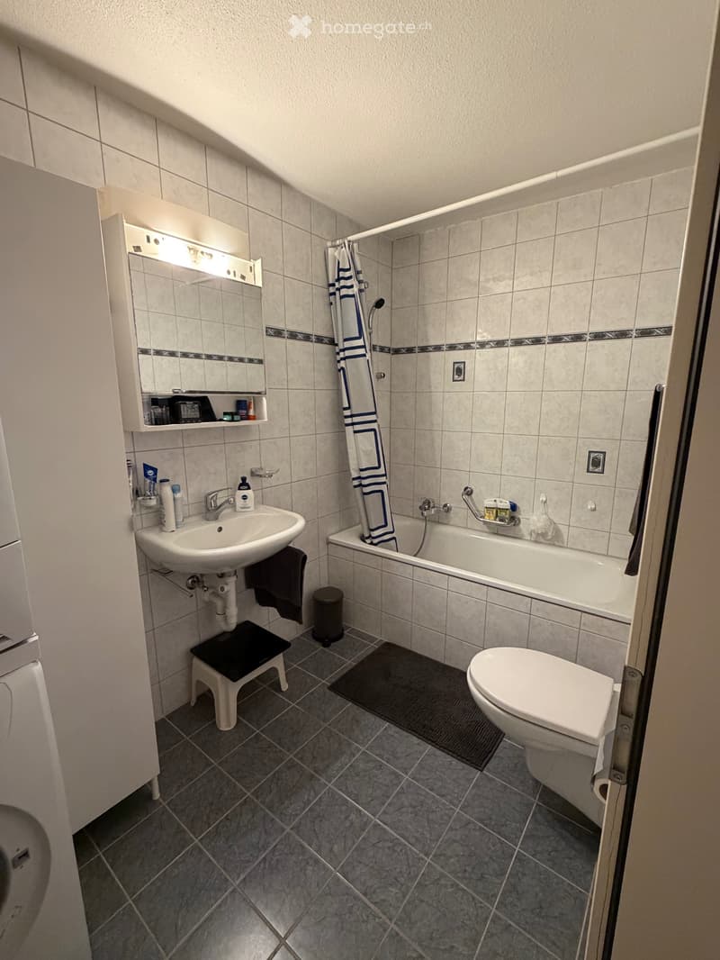 Appartement mansardé de 3,5 pièces (3)