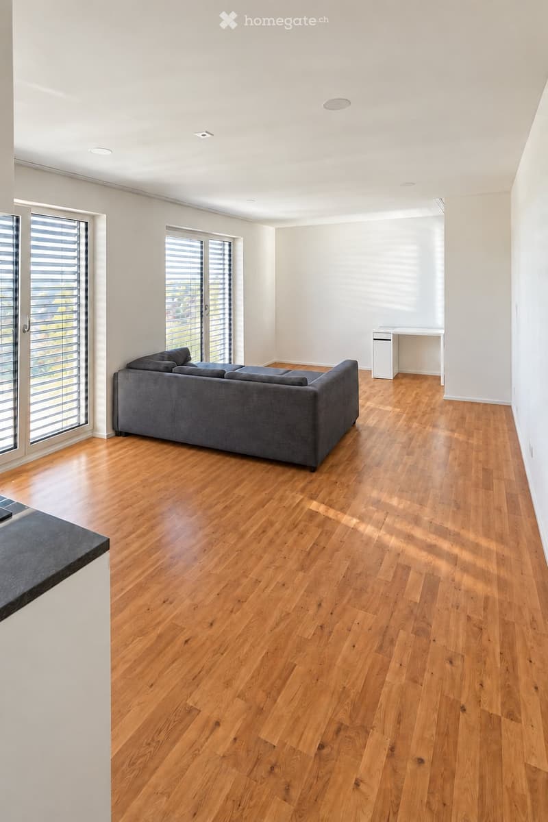 2.5-Zimmer-Wohnung, 54 m2, teilmoebliert - Zuerich-Seebach (1)