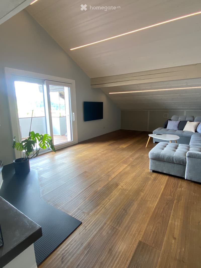 Appartement rénové meublé de 3.5 pces (1)