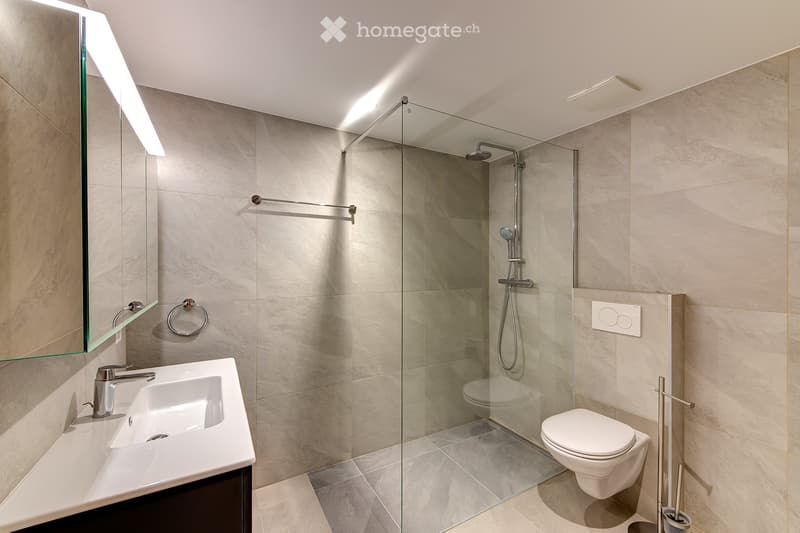 Magnifique appartement dans la vieille ville de Martigny (5)