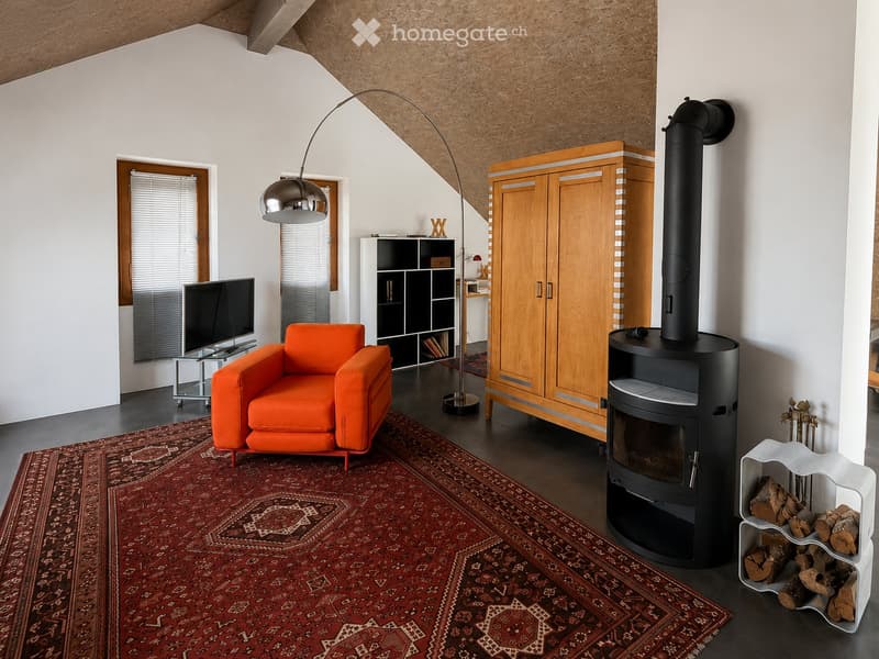 Magnifique Loft meublé à Chavannes-près-Renens (1)